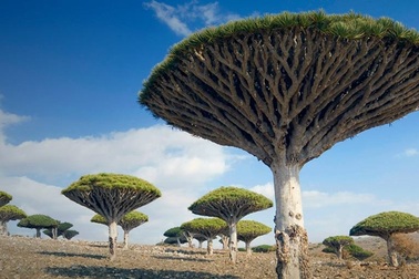 Khám phá hòn đảo kỳ lạ như ngoài hành tinh