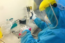 Phi công người Anh mắc Covid-19 còn rất nặng, chưa thể tiên lượng phục hồi