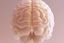 Lần đầu tiên mô não người được in 3D thành công