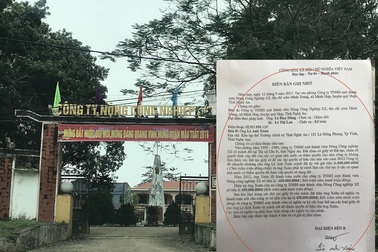 Vụ giám đốc nông trường bị tố lộng quyền: Bán đất không “văn tự”?