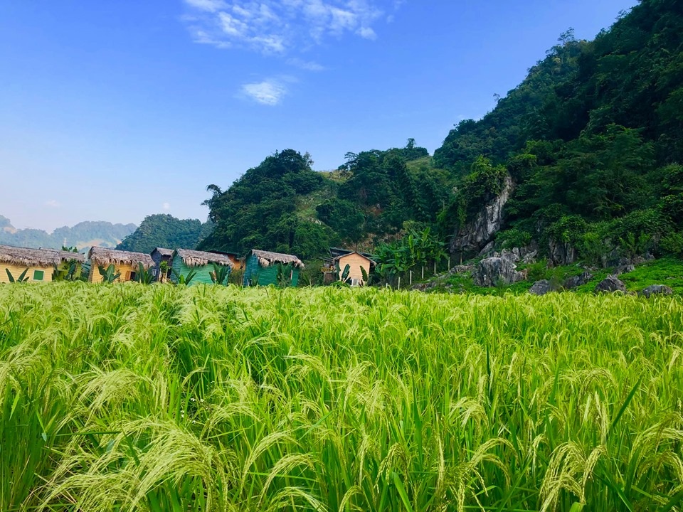 Cặp vợ chồng Hà Nội dành 4 năm cải tạo mảnh đất hoang và cái kết bất ngờ - 10 Cặp vợ chồng Hà Nội dành 4 năm cải tạo mảnh đất hoang và cái kết bất ngờ - 10