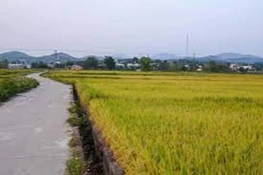 Án mạng ở Hải Phòng vì mâu thuẫn nhỏ từ một tháng trước