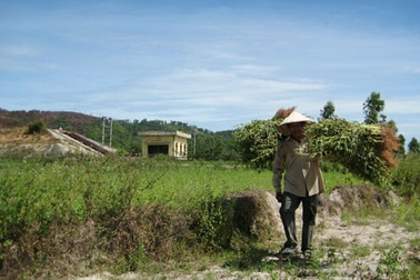 Có trạm bơm 2 tỷ đồng, 500 ha lúa vẫn khát 