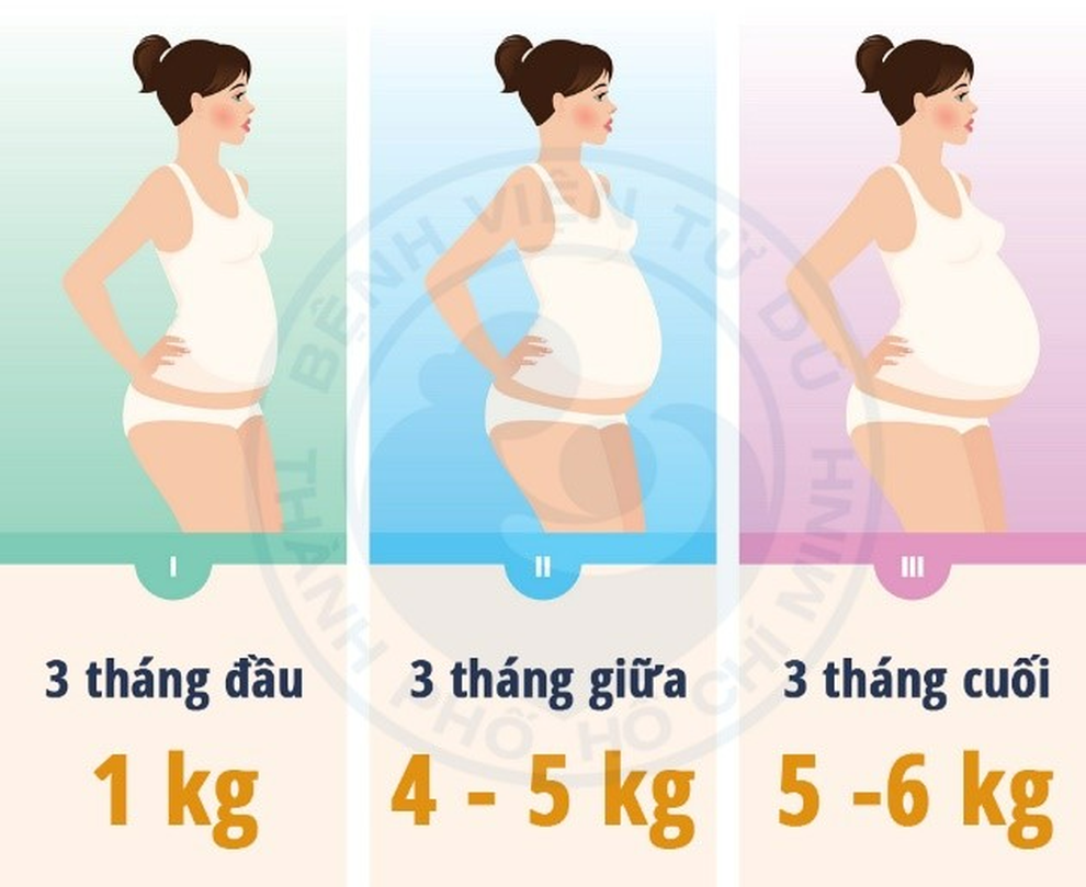 Phòng tránh tiểu đường thai kỳ: Hiểu rõ để mẹ con cùng khỏe - 2 Phòng tránh tiểu đường thai kỳ: Hiểu rõ để mẹ con cùng khỏe - 2