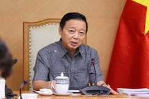 Việt Nam dự kiến sẽ chính thức vận hành thị trường carbon từ năm 2029