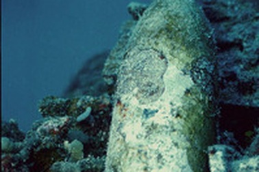 Phát hiện chai sâm-panh lâu đời nhất còn uống được dưới đáy biển