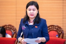 Đề xuất bỏ hiệp thương lần 1 để rút ngắn quy trình, bầu cử Quốc hội sớm