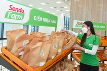 Mua hoa tươi online dễ dàng trên Sendo