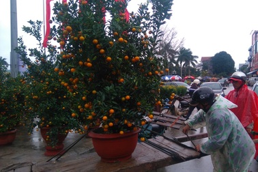 Chợ quê nhộn nhịp, người dân đội mưa mang hương sắc Tết về nhà