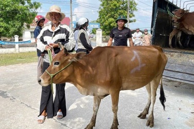 Gia Lai lan tỏa những cách làm hay, mô hình thoát nghèo bền vững
