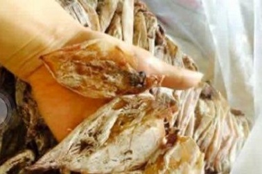 Giật mình với giá mực mini được rao bán với giá 2.000 đồng/con