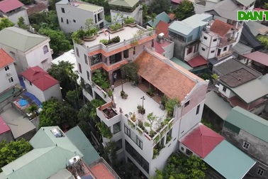 Gia chủ Hà Nội đưa nhà cổ trăm tuổi rộng 100m2 lên nóc biệt thự