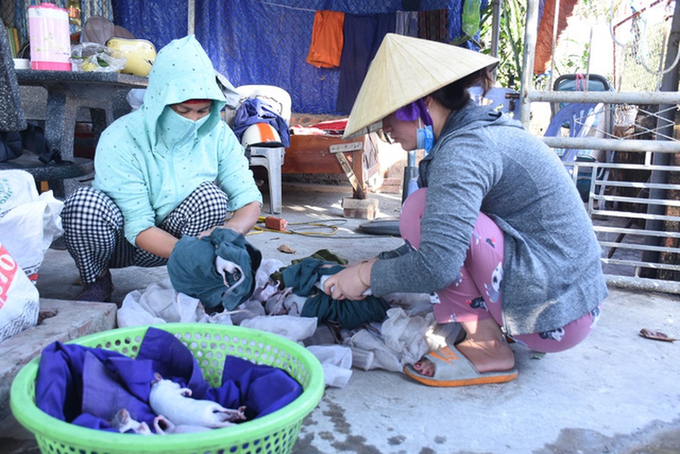 Làng bắt chuột Hải Dương vào mùa đắt hàng - 4 Làng bắt chuột Hải Dương vào mùa đắt hàng - 4