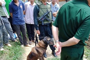 Truy tìm nghi phạm giết hàng xóm rồi bỏ trốn