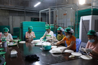 8X gác 2 bằng đại học về quê làm bánh đa nem, thu tiền tỷ mỗi năm