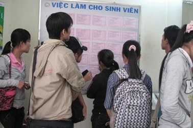 Kỹ sư, cử nhân đôn đáo kiếm kế sinh nhai