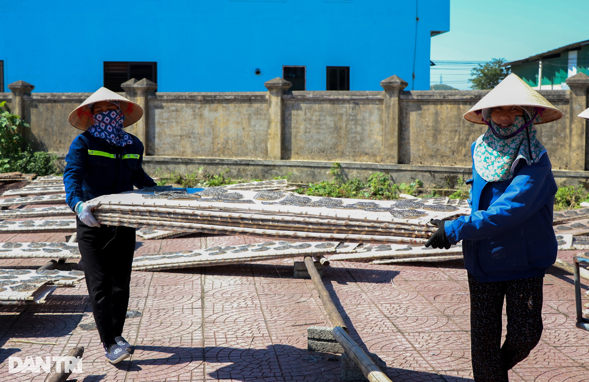 Where women heat the kitchen and dry in the sun to create cakes that bring in 4.5 billion VND per year - 11