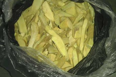 Kết luận của Viện dược liệu về cây “thần dược” ở Khánh Hòa