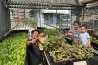 Vườn trồng rau nuôi cá trên nóc nhà của ông bố trẻ ở TPHCM
