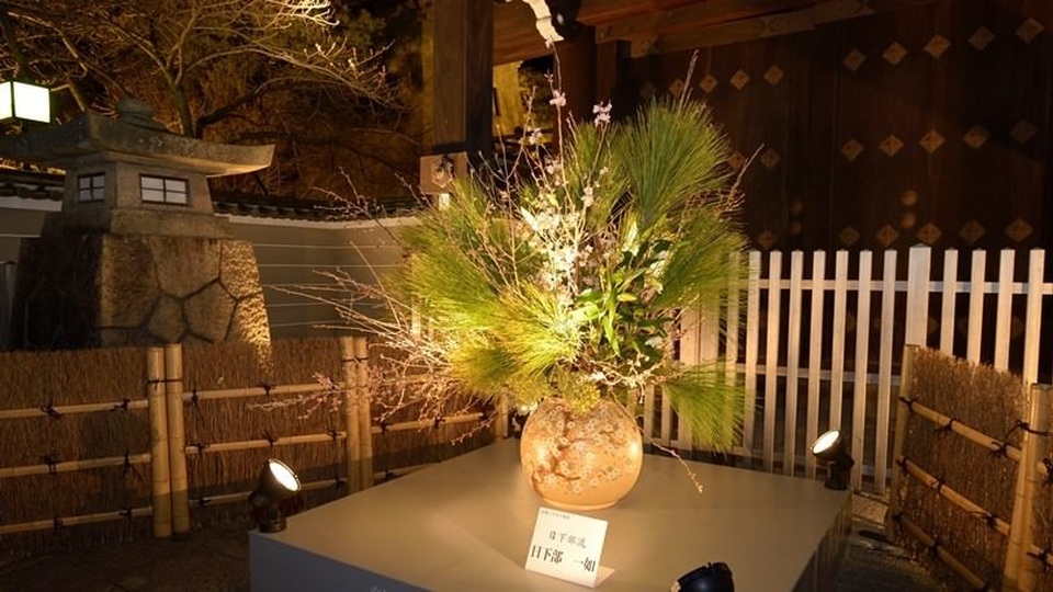 Tháng ba, về Kyoto bước đi trên con đường hoa và ánh sáng - 2 Tháng ba, về Kyoto bước đi trên con đường hoa và ánh sáng - 2