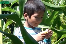 Cuộc sống lay lắt của bé trai 7 tuổi giữa núi rừng Tây Nguyên đại ngàn