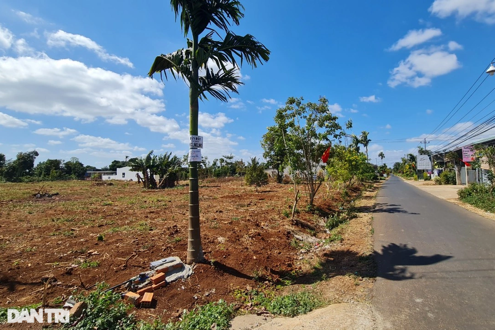 Sau bán đất người mất trắng thổ cư, kẻ trầy trật đòi sổ đỏ từ cò đất - 5 Sau bán đất người mất trắng thổ cư, kẻ trầy trật đòi sổ đỏ từ cò đất - 5
