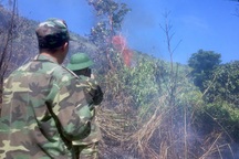 Huy động hàng trăm cán bộ chữa cháy rừng đặc dụng Đèo Cả