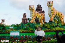 Cận cảnh gia đình hổ sum vầy "dạo chơi" phố biển Quy Nhơn