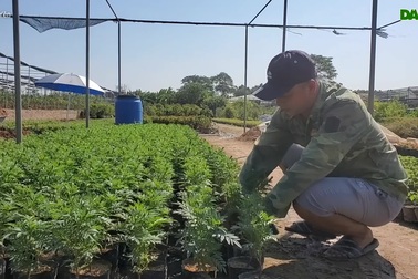 Chia sẻ của những người làm nghề trồng hoa xã Xuân Quan