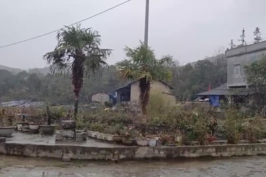 Tuyết rơi ở Hà Giang