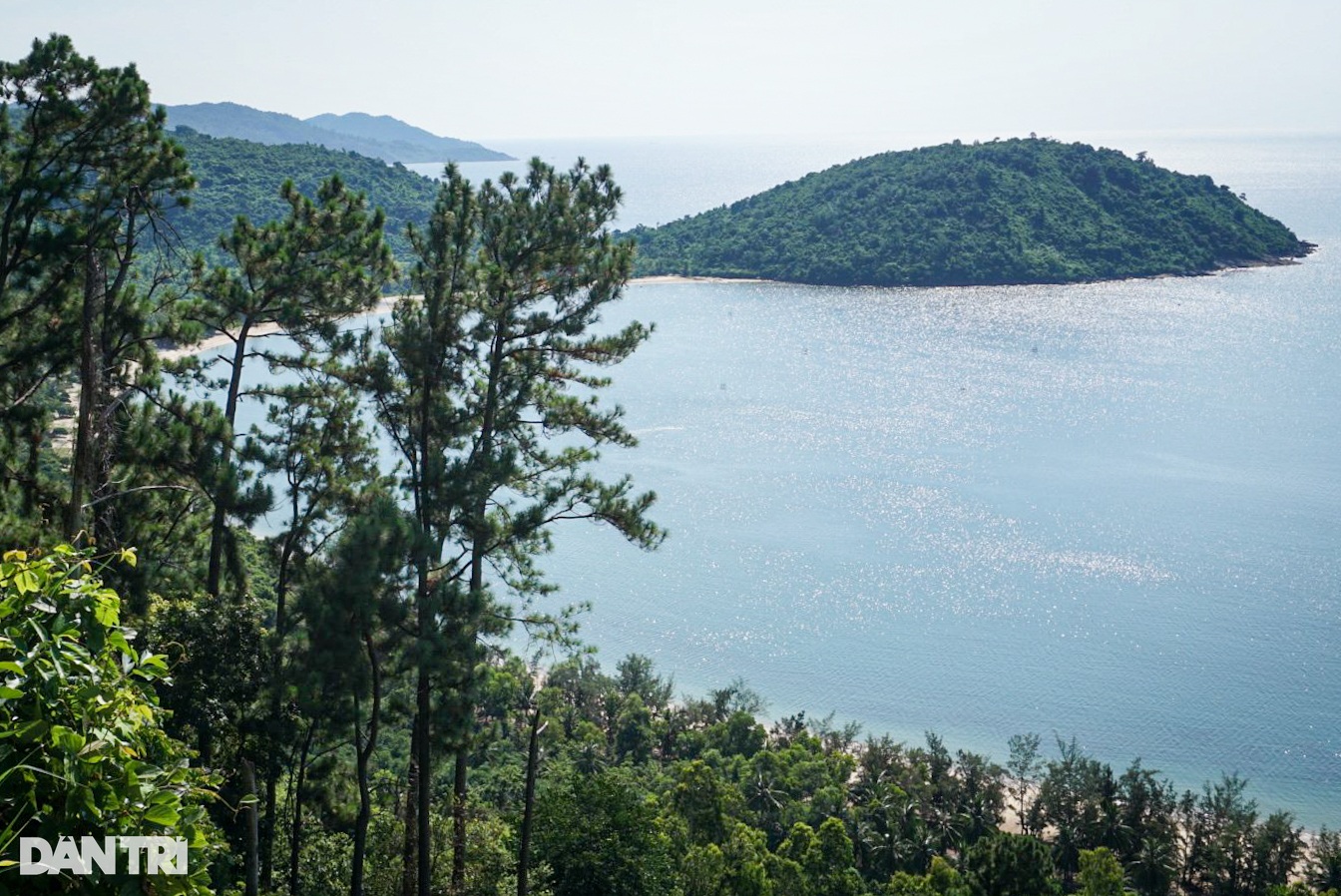 Đà Nẵng chuyển mục đích gần 80ha đất rừng trồng sang làm dự án - 1