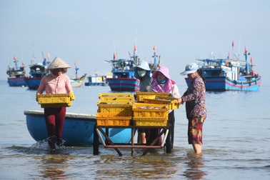 Chợ cá nơi "nghĩa địa tàu cổ"