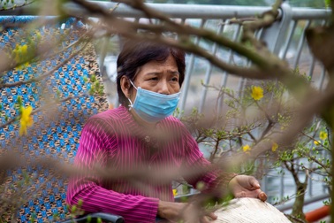 Nhiều ngày "phơi mặt" không bán nổi hoa, tiểu thương "khóc thét" lo mất Tết