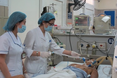 Giẫm vào tổ ong vò vẽ, người đàn ông bị đốt 239 nốt nguy kịch