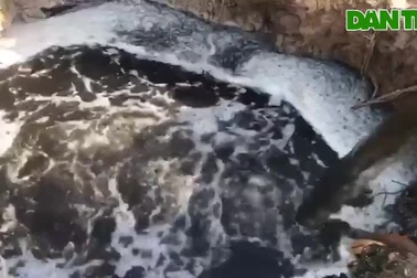 Nước thải hồ tôm gây ô nhiễm.