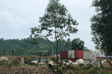 Công ty môi trường Nghi Sơn xử lý rác thải cho Formosa?