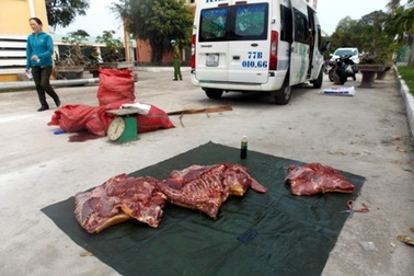 Bắt giữ hàng trăm kg “thịt bẩn” trên xe khách