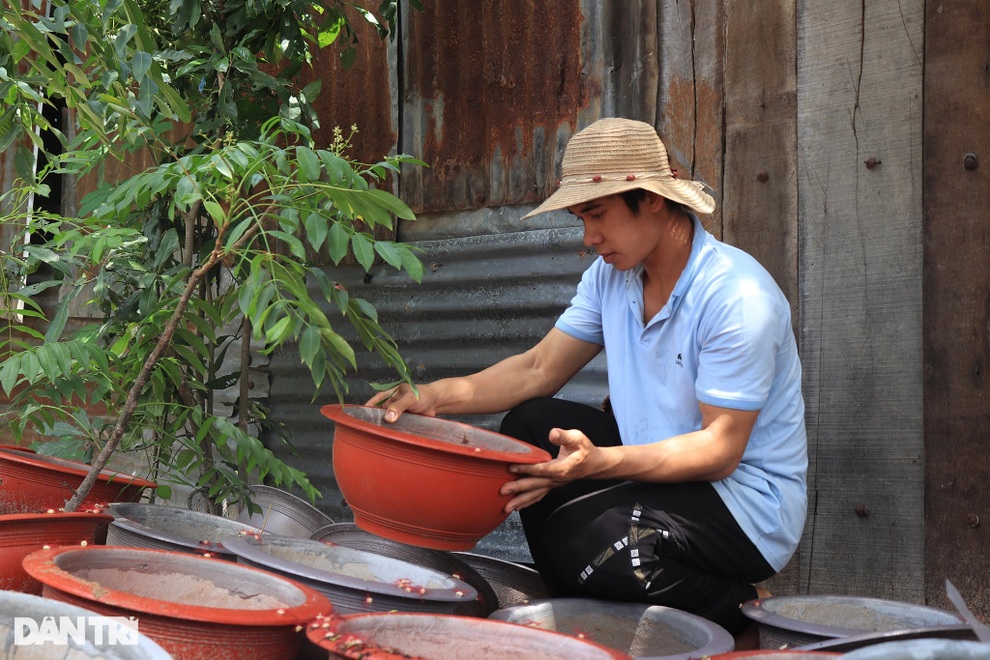 Chàng thanh niên Jrai thành công với nghề nuôi dế ở xã nghèo - 7 Chàng thanh niên Jrai thành công với nghề nuôi dế ở xã nghèo - 7