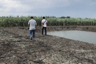 Cạn nguồn hàng, nhiều môi giới bất động sản chuyển nghề đi livestream dạo