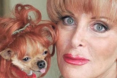 Sốc với bản di chúc để lại 11 triệu USD cho chó cưng