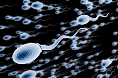 Đừng lo khi “chàng” trục trặc...