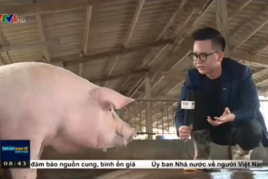 BTV Hữu Trí "chiếm sóng" mạng xã hội vì nói chuyện được với heo, vịt và lúa