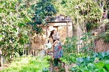 Rời Sài Gòn hoa lệ, chàng trai trẻ tới Đà Lạt dựng nhà, chăm cún, trồng hoa