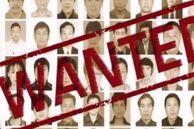 Quan tham Trung Quốc về nước đầu thú