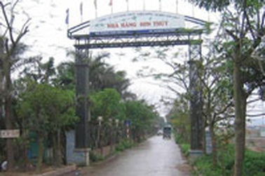 Ai đã “nâng đỡ” trang trại Sơn Thủy?