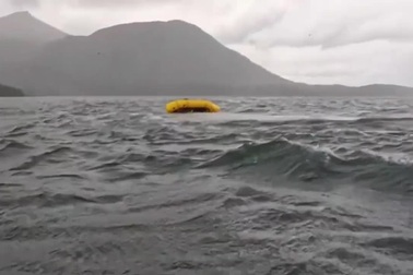 Người chèo thuyền kể khoảnh khắc sinh tử khi bị cá voi nuốt chửng và nhả ra