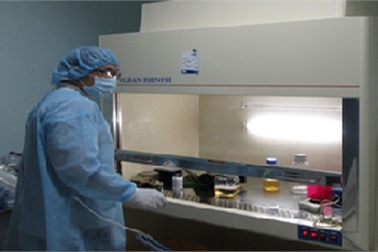 Bí mật động trời giữa bố và con trai tại phòng xét nghiệm ADN