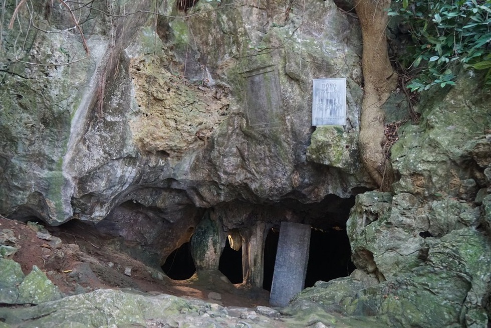 Ngắm cây võng tiên hàng trăm năm tuổi trước cửa động Từ Thức - 4