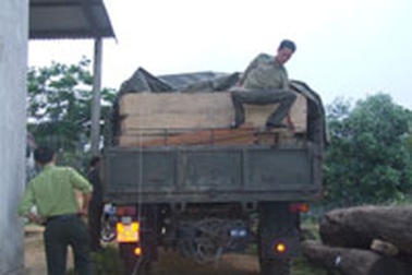 Hà Tĩnh: Bắt xe biên phòng chở gỗ lậu