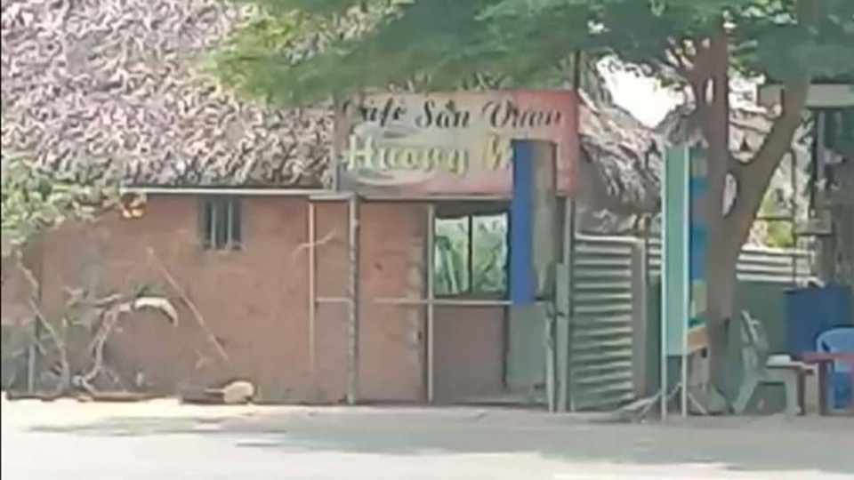Bị cắn vào ngực, nữ tiếp viên gọi người đánh khách nam tử vong - 1 Bị cắn vào ngực, nữ tiếp viên gọi người đánh khách nam tử vong - 1